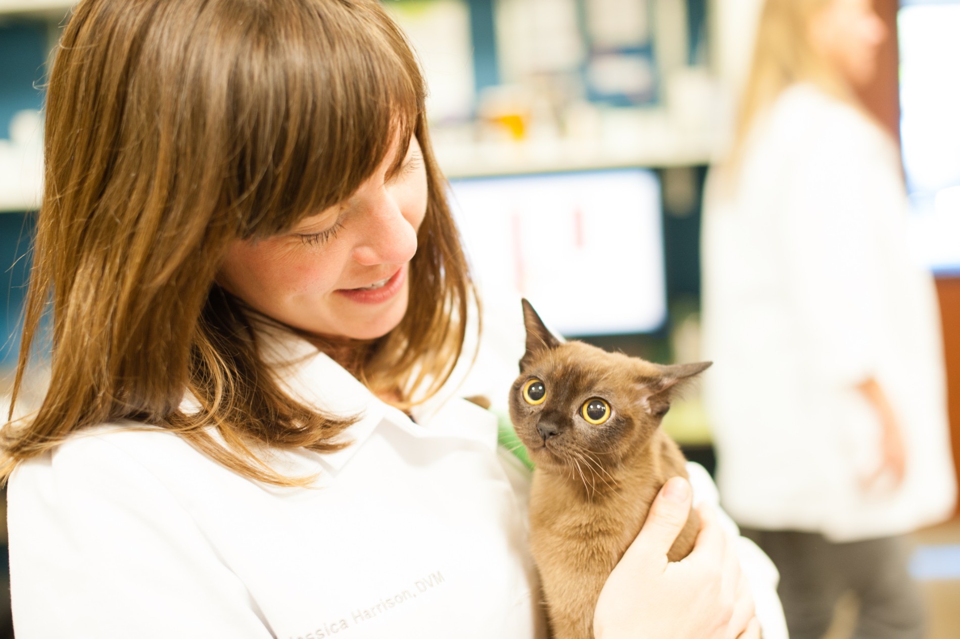 Veterinary Careers In Denver, CO - Goodheart Animal Health Center ...