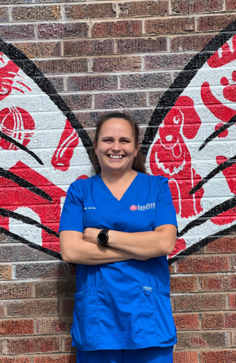 Veterinarian In Denver, CO 80206 – Goodheart Animal Health Center ...