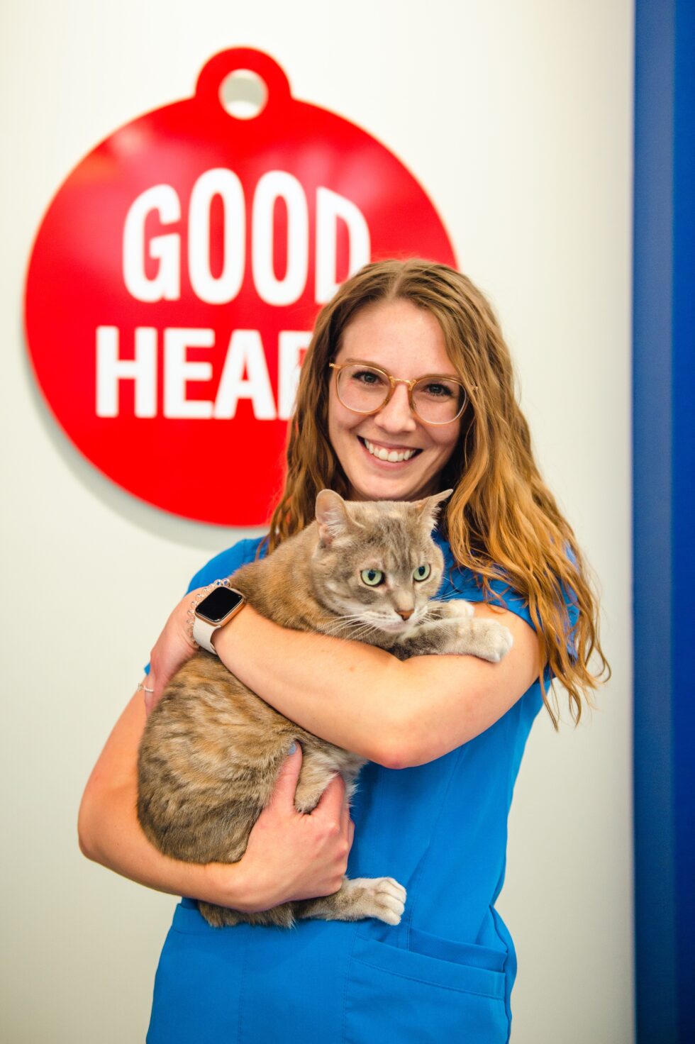 Veterinarian In Denver, CO 80206 Goodheart Animal Health Center