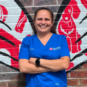 Veterinarian In Denver, CO 80206 – Goodheart Animal Health Center ...