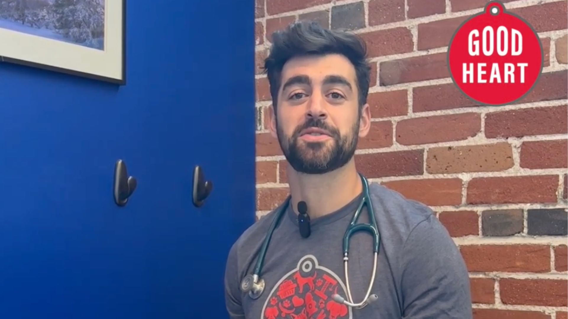 What To Know When Your Dog Vomits – Goodheart Animal Health Center ...