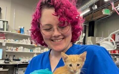 Big Hearts, Tiny Paws: Kitten Rescues  How 3 abandoned kittens found homes just in time for Valentine’s Day