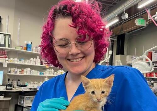 Big Hearts, Tiny Paws: Kitten Rescues  How 3 abandoned kittens found homes just in time for Valentine’s Day