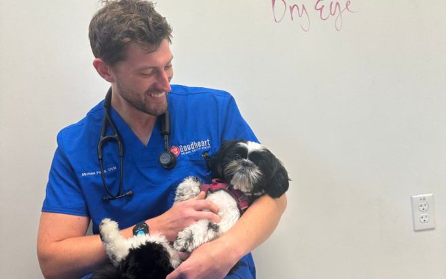 5 Ways to Support Pets With Separation Anxiety