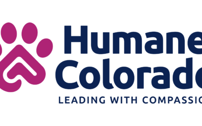 From Shelter to Home: Helping Colorado Pets Thrive